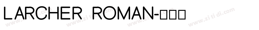 LARCHER ROMAN字体转换